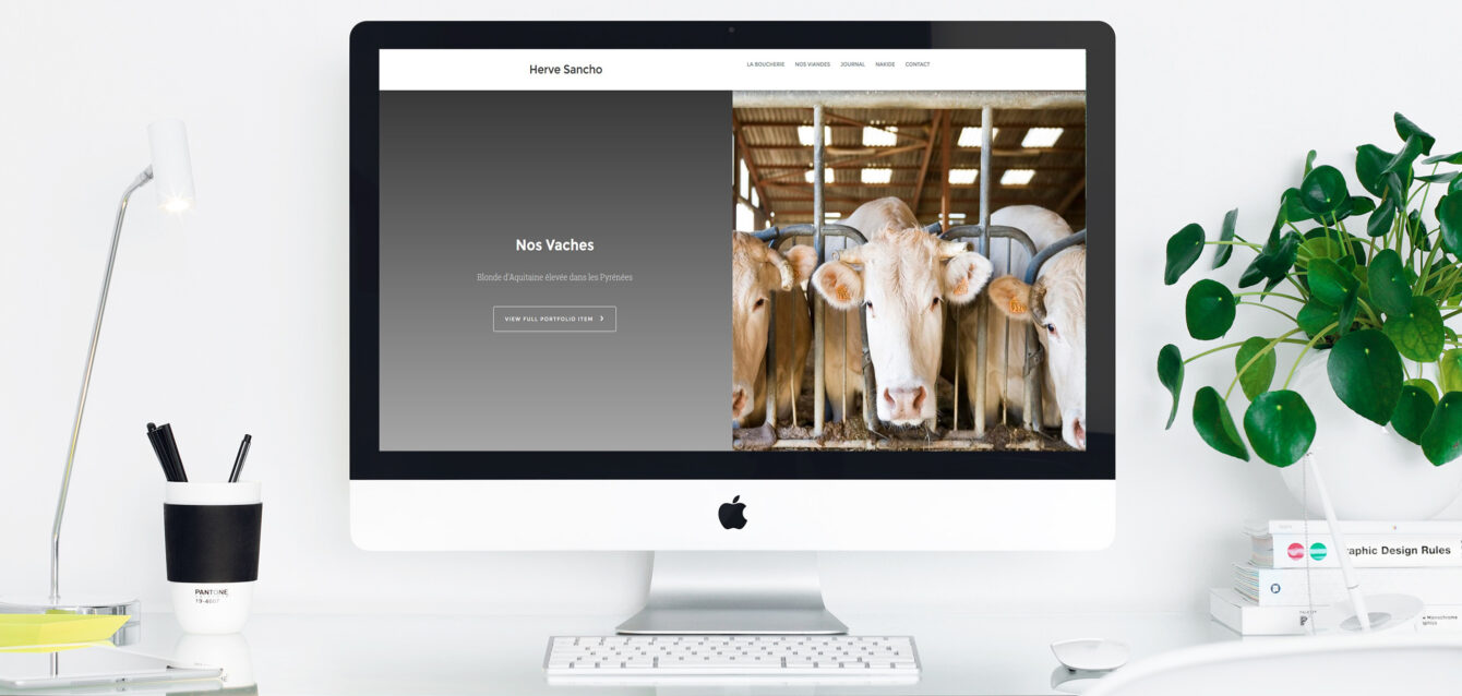 mockup-herve-sancho-website-by-boulevardenil