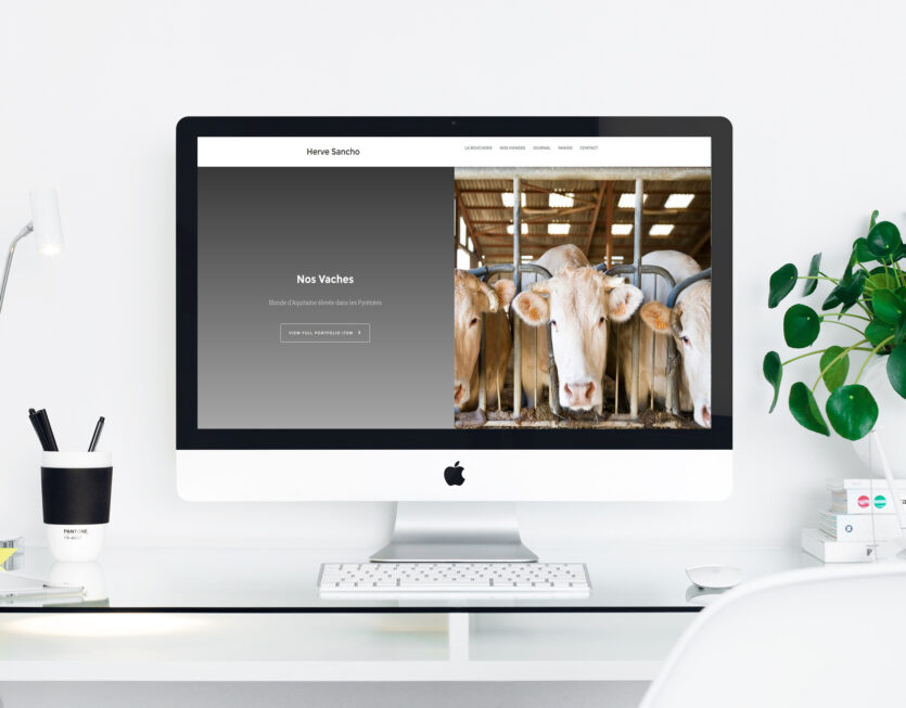 mockup-herve-sancho-website-by-boulevardenil