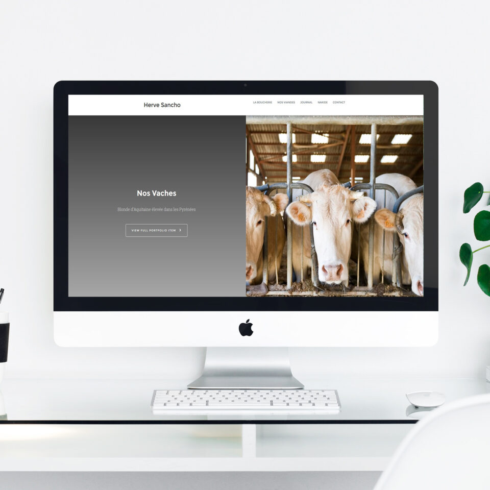 mockup-herve-sancho-website-by-boulevardenil